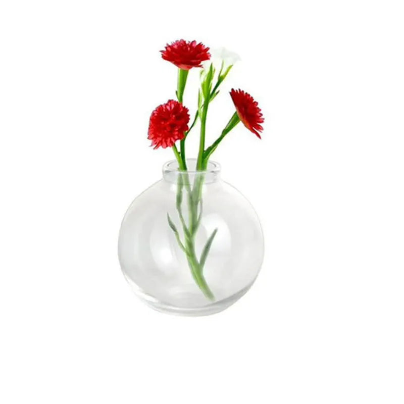 clear round glass magnet vase holding red and white carnations