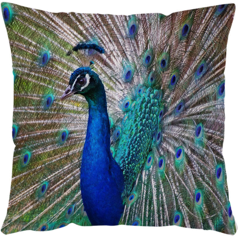 Peacock tail feather square cushion cover with iridescent plumage