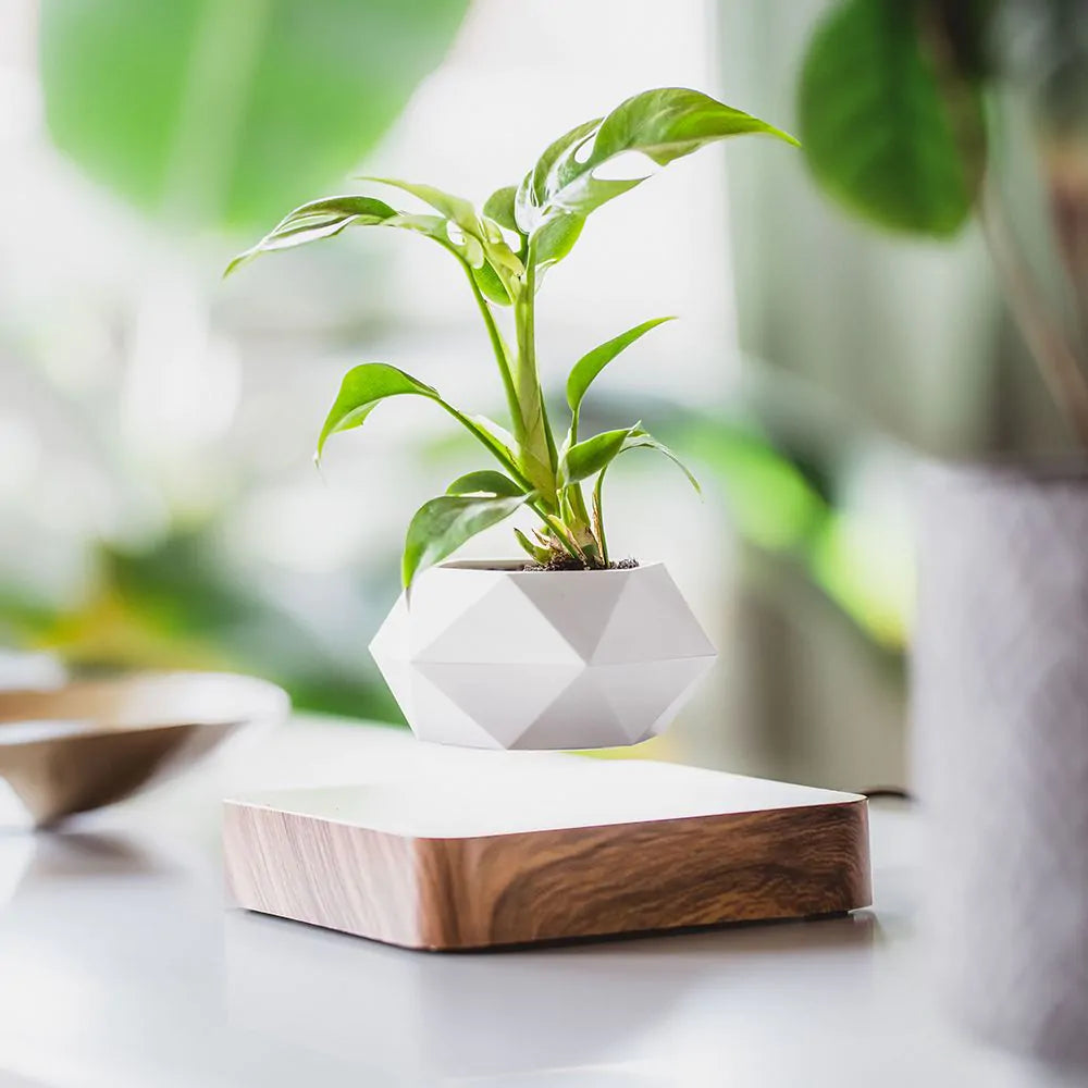 Geometric Levitating Plant Pot – Magnetic Suspension with 360-Degree Sunlight Exposure 0