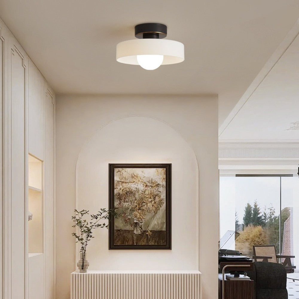 Maintained House Colored Glass Disc Ceiling Light - Milk white light with black canopy in an entryway