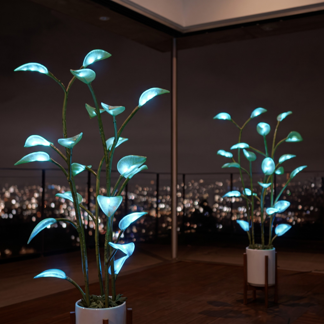 Dual cool blue LED houseplant lamps on outdoor deck at night