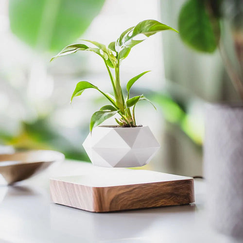 Geometric Levitating Plant Pot – Magnetic Suspension with 360-Degree Sunlight Exposure