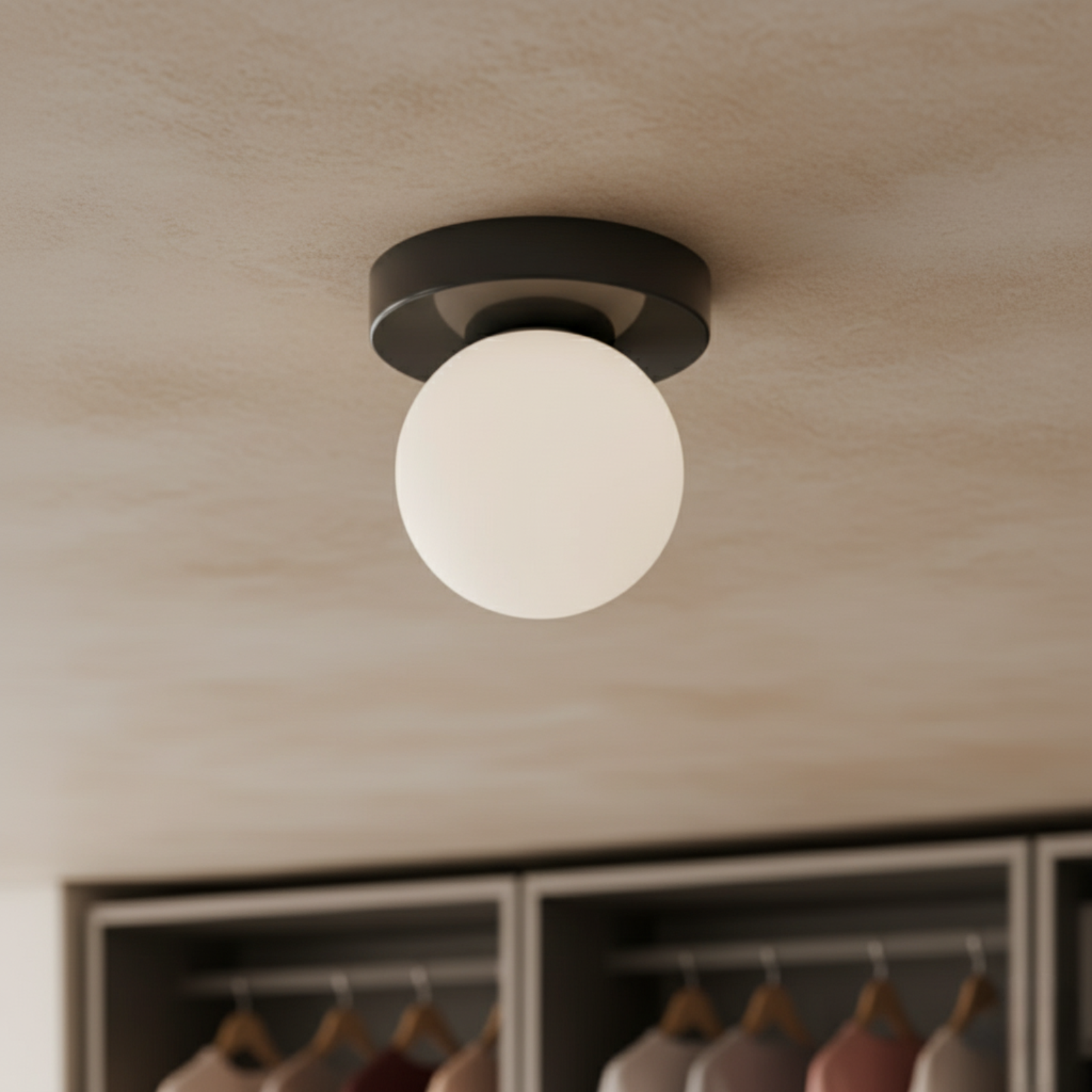 Black matte iron ceiling mount sconce with frosted glass globe above closet