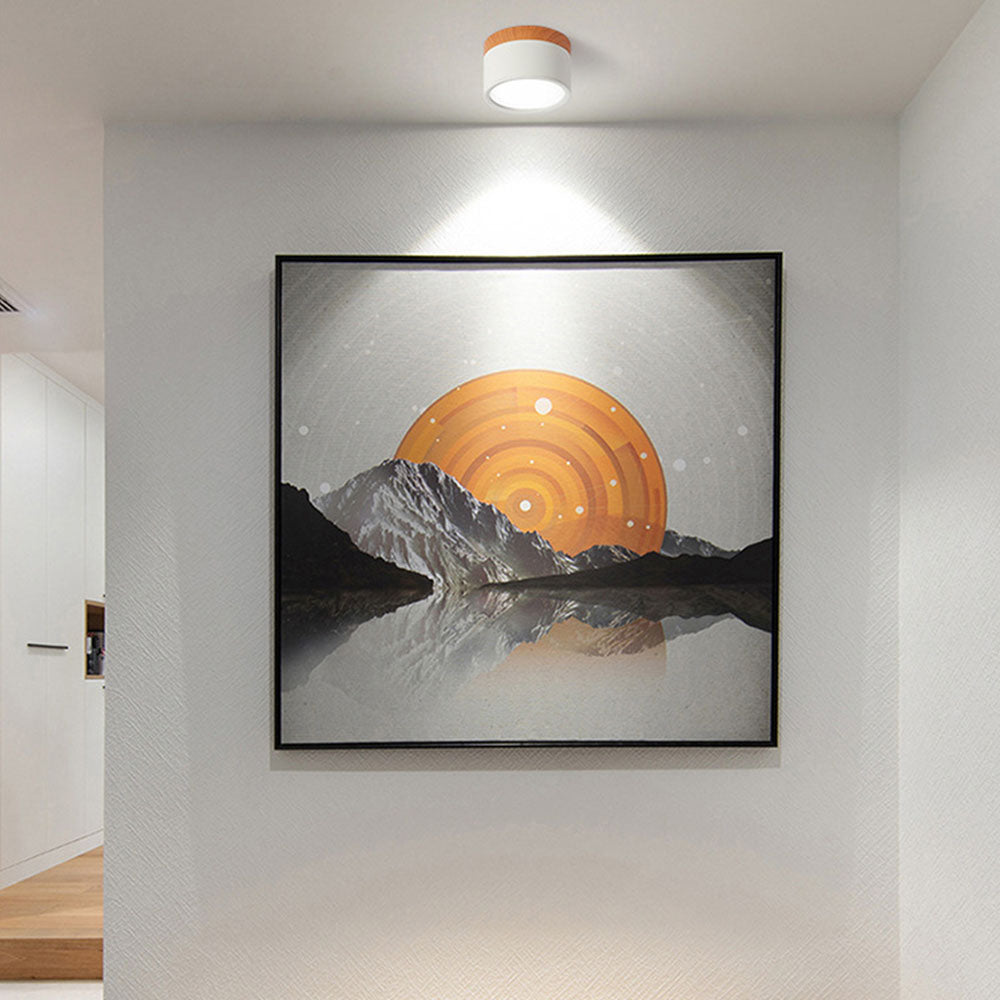 Sleek Modern Flush Mount Ceiling Light – Energy-Efficient LED Aluminum Fixture 2