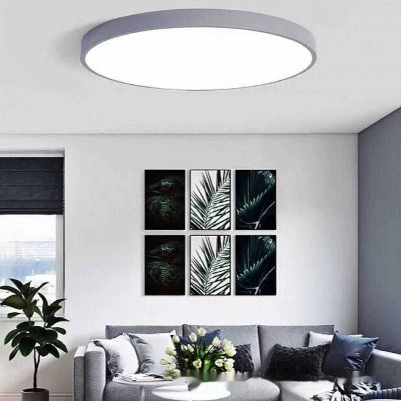 Maintained House Macaron Flush Mount LED Ceiling Light - Gray in a living room with botanical prints