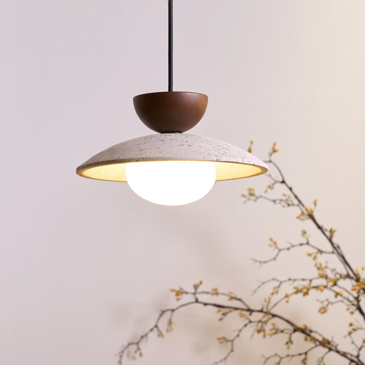 Maintained House Travertine Saucer Pendant Light - Walnut with a branch